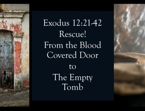 March 31, 2024 – Rescue! From the Blood Covered Door to the Empty Tomb