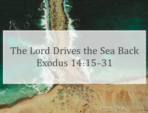 April 28, 2024 – The LORD Drives the Sea Back