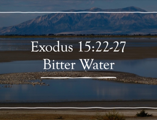 May 12, 2024 – Bitter Water