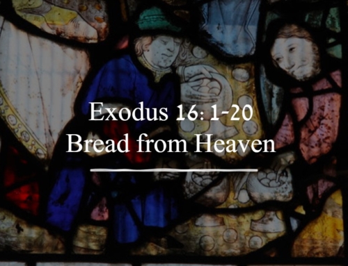 May 19, 2024 – Bread from Heaven