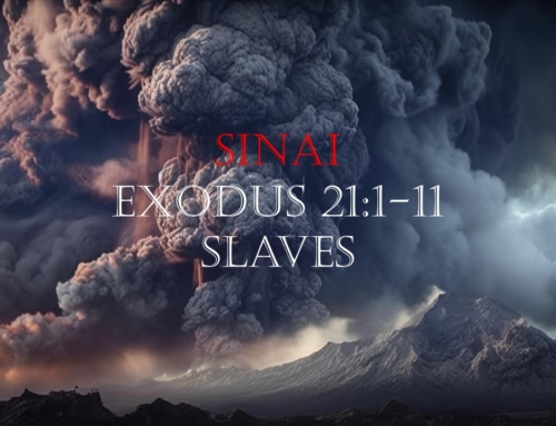 January 12, 2025 – Slaves