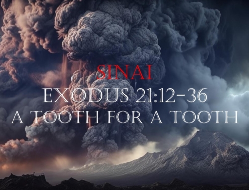 January 19, 2025 – A Tooth for a Tooth