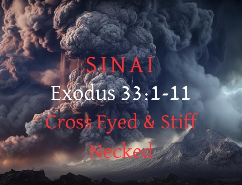 May 18, 2025 – Cross Eyed and Stiff Necked