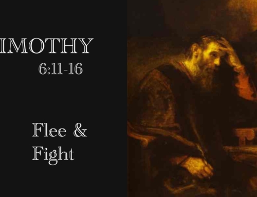 February 22, 2026 – Flee & Fight